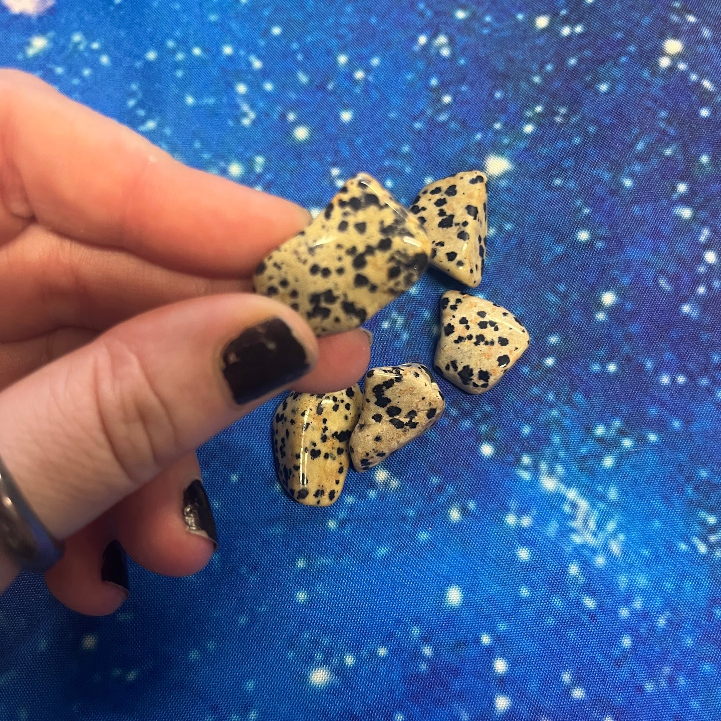 Dalmation Jasper Tumbled Stone