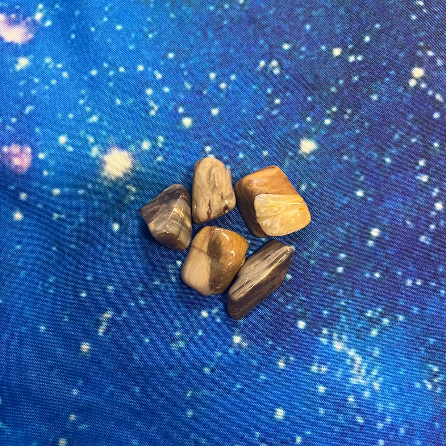Petrified Wood Tumbled Stone