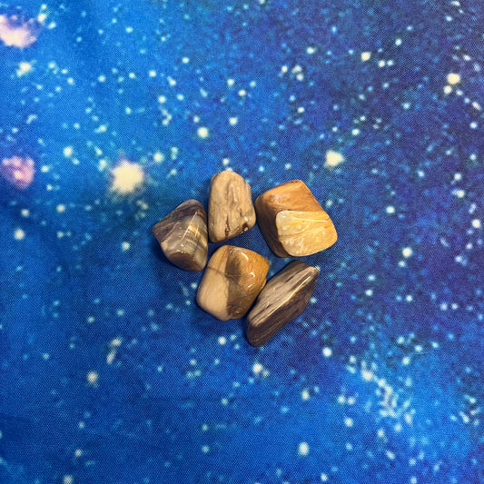 Petrified Wood Tumbled Stone