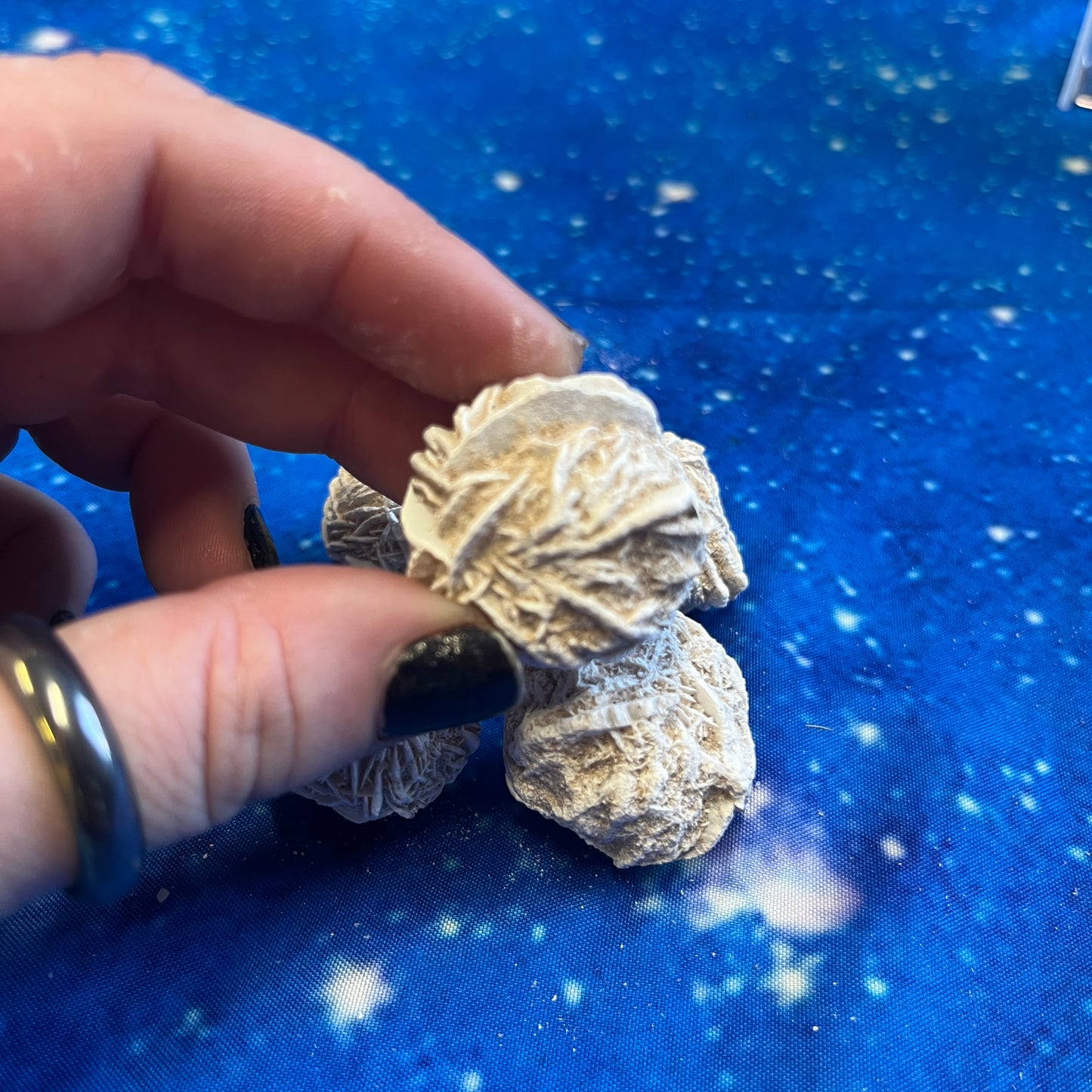 Desert Rose