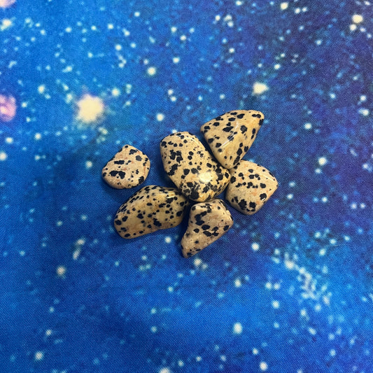 Dalmation Jasper Tumbled Stone