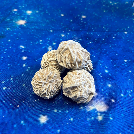 Desert Rose