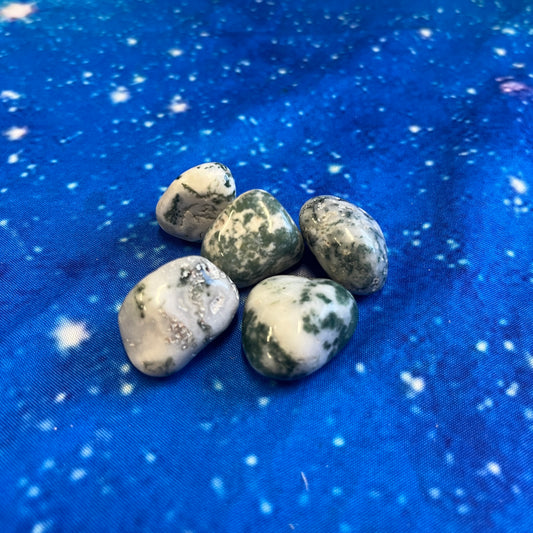 Tree Agate Tumbled Stone