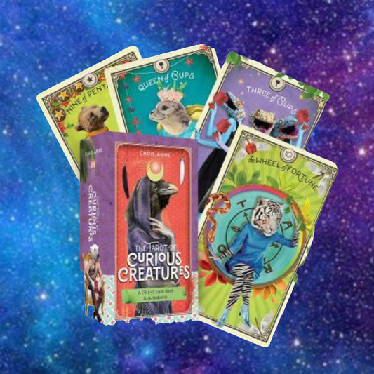 The Tarot Of Curious Creatures Card Deck