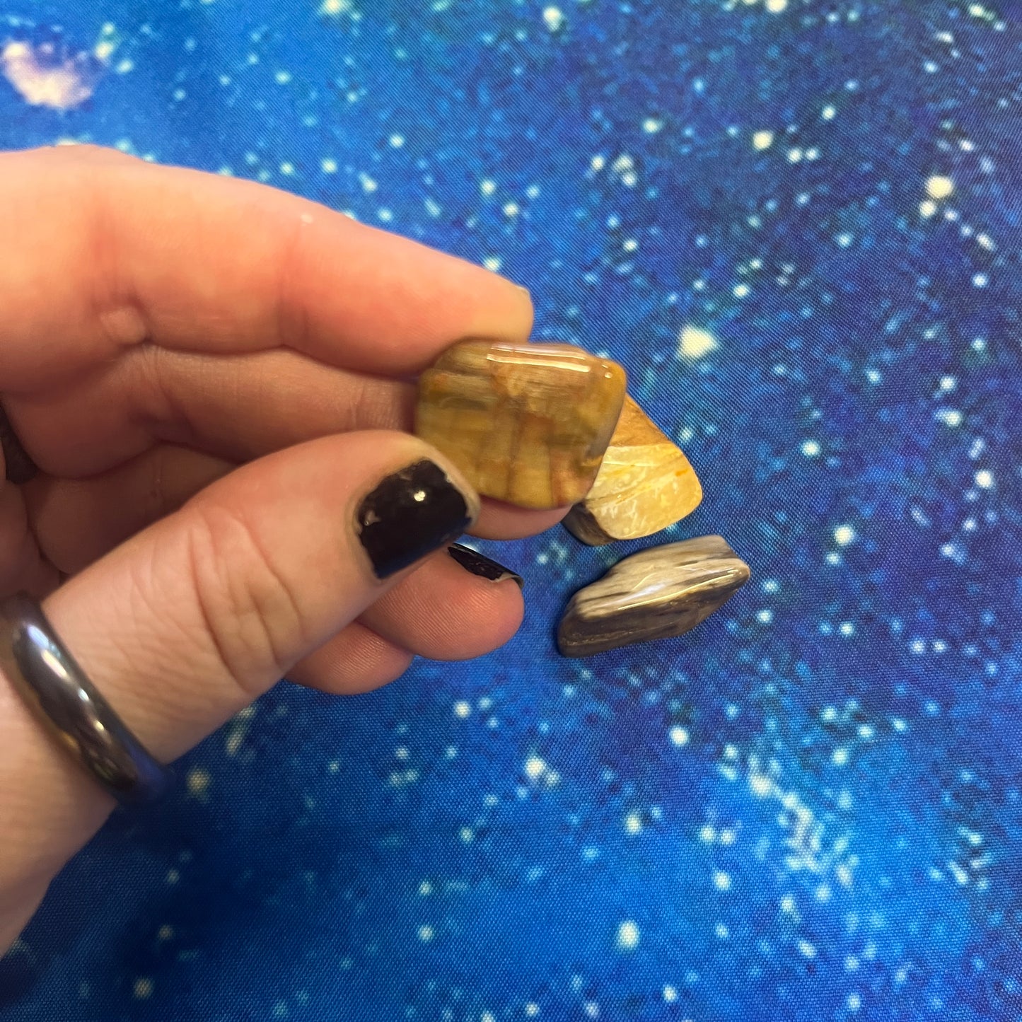 Petrified Wood Tumbled Stone